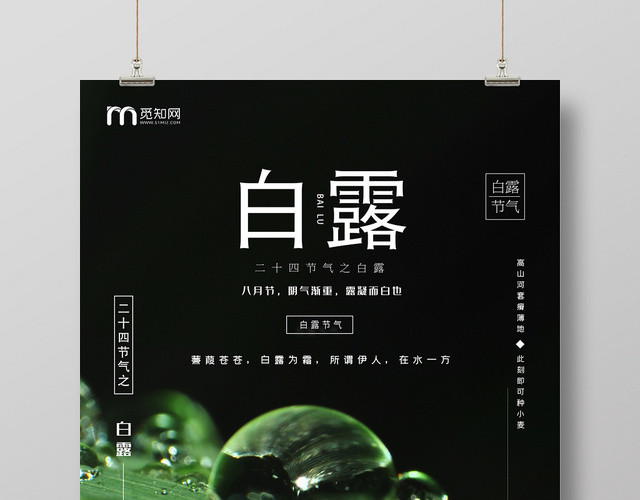 简约风中国二十四节气节日白露宣传海报
