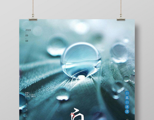 小清新中国二十四节气节日白露宣传海报