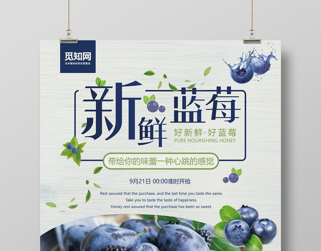 新鲜蓝莓几何设计简约水果蓝莓海报