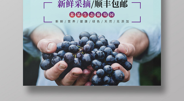 蓝色清新新鲜水果葡萄果园宣传海报