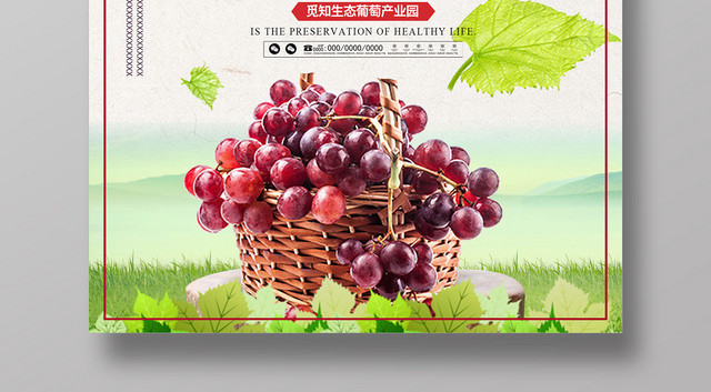采摘葡萄绿色风景清新简约风水果葡萄海报