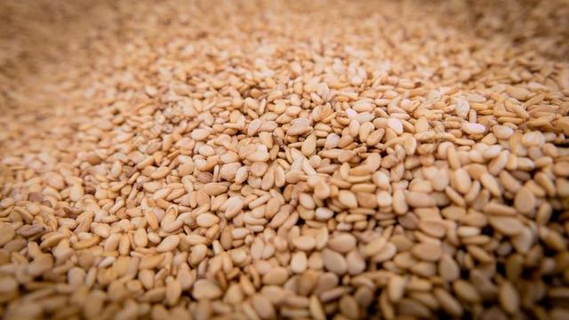 芝麻 种子 胡麻科 油厂 SESAM温室 文化温室 健康 食品