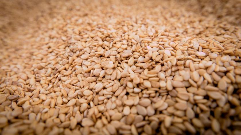 芝麻 种子 胡麻科 油厂 SESAM温室 文化温室 健康 食品