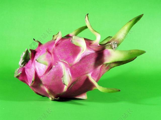 食物特写红色的新鲜火龙果背景图片