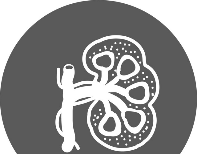 黑白卡通手绘人体器官医用标识免抠素材