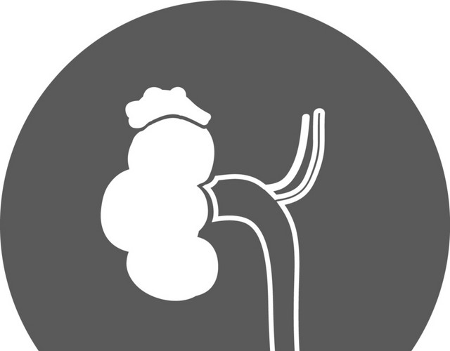 黑白卡通手绘人体器官医用标识免抠素材
