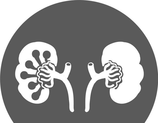 黑白卡通手绘人体器官医用标识免抠素材