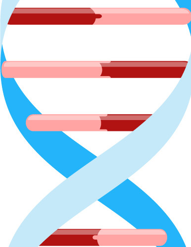 DNA