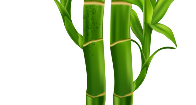美容精华素材
