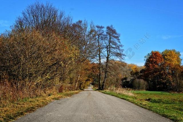 树木 秋季 离 道路 天空 景观 心情 秋天的颜色 草地