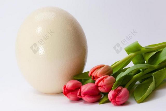 鸡蛋 春天 FRüHLINGSANFANG 春季觉醒 复活节 花