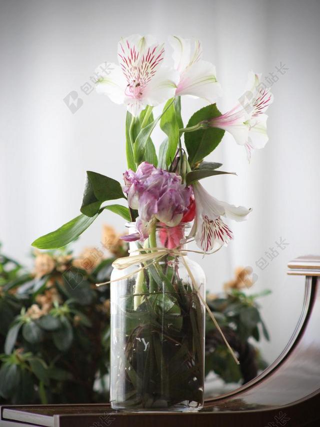 植物美丽玻璃瓶中的鲜花背景图片
