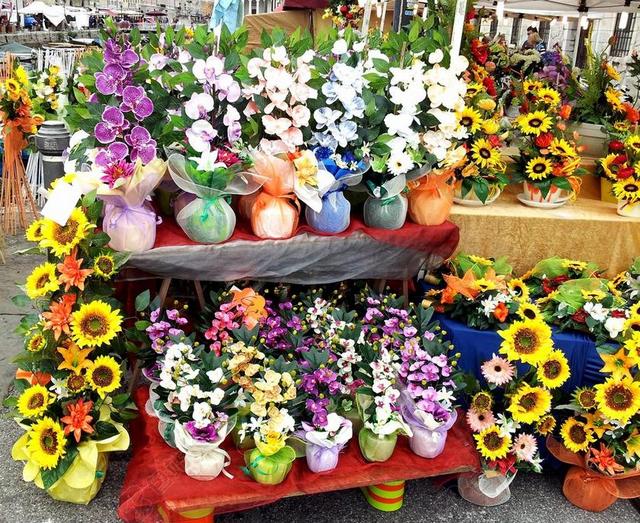 植物美丽花店里彩色的鲜花背景图片