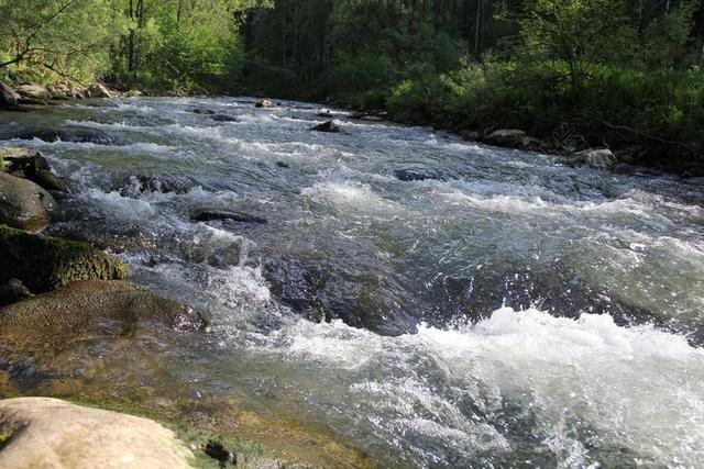水 河 山区河流 裂痕 性质 森林 禁食水 俄罗斯