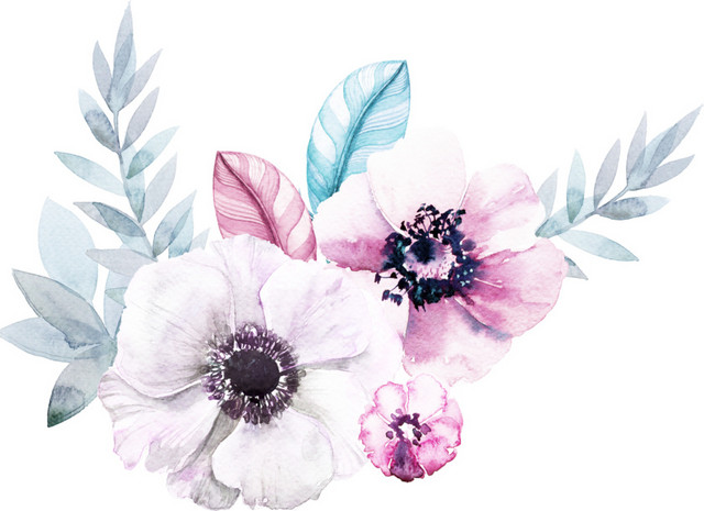 手绘树叶叶子花朵花瓣素材