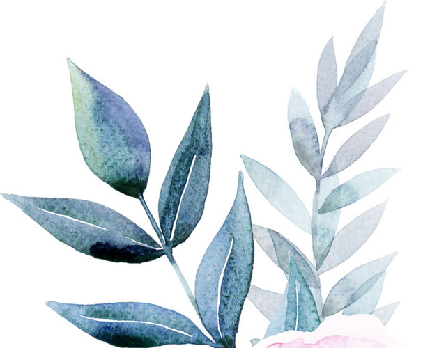 树枝树叶花朵素材
