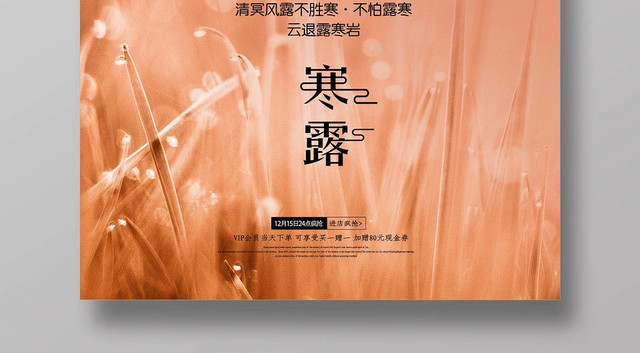 素雅简约清新传统节气寒露宣传海报