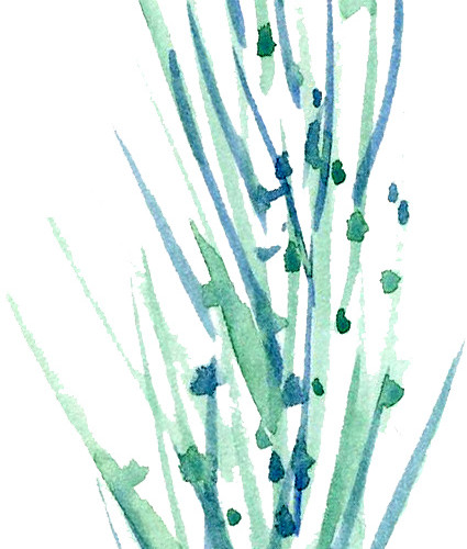 蓝色海草装饰