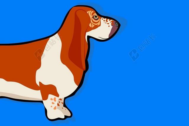广告时尚巴吉度猎犬绘画背景图片