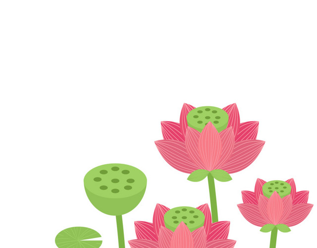 矢量手绘荷花设计素材