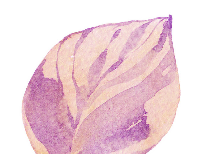 水彩水墨植物叶子绘画装饰素材