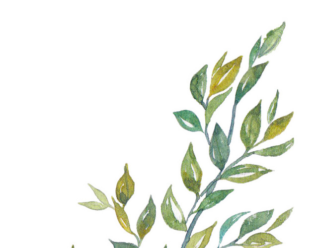 水彩水墨植物叶子绘画装饰素材