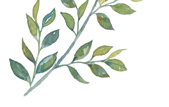 水彩水墨植物叶子绘画装饰素材