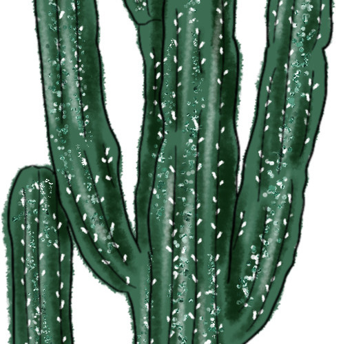 彩色水彩仙人掌绘画素材