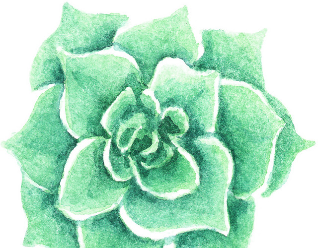 水彩植物花卉PNG素材