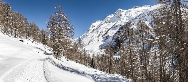 旅游自然户外雪山景色背景图片