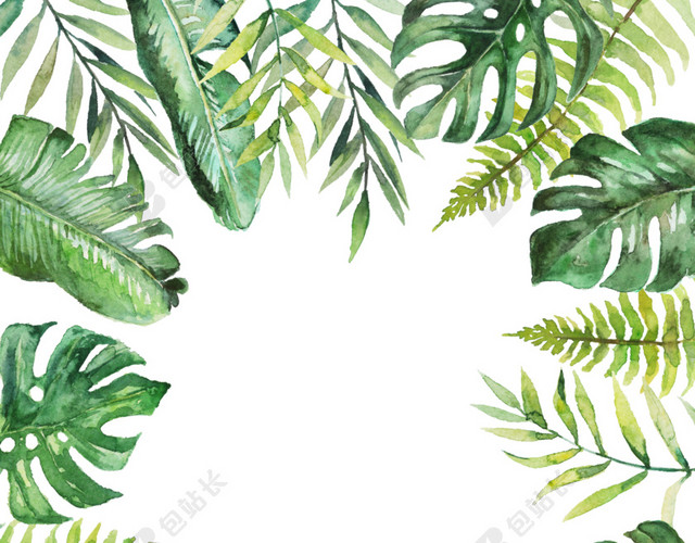 水彩植物叶子背景PNG素材