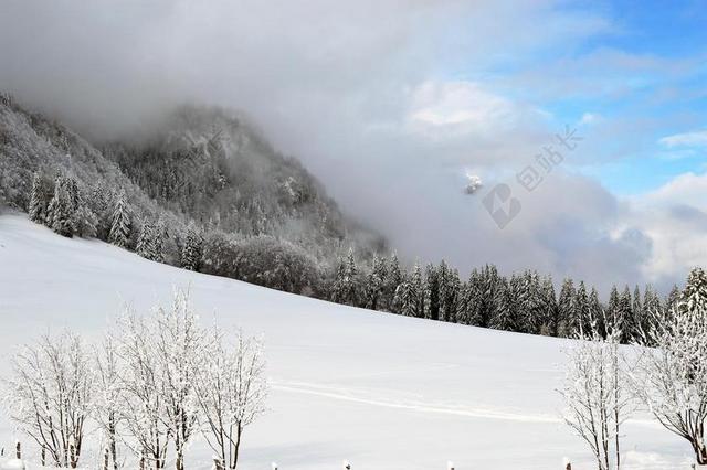 冬天 现场 山 仙境 森林 冷 户外 日落 雪 度假 冰