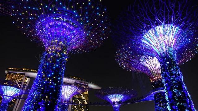花园的海湾 新加坡 夜 照明 里程碑 SUPERTREE 引力