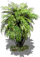 绿色植物矢量素材
