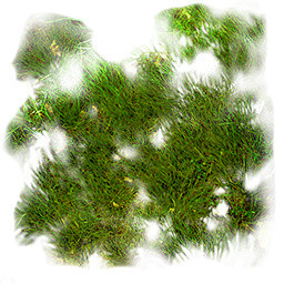 绿色植物矢量素材