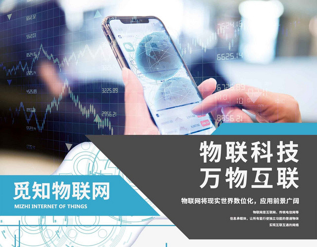 简约大气蓝色系物联网互联网网络宣传单