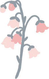 牵牛花免抠素材