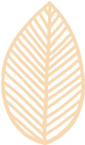 纹理线条树叶免抠素材