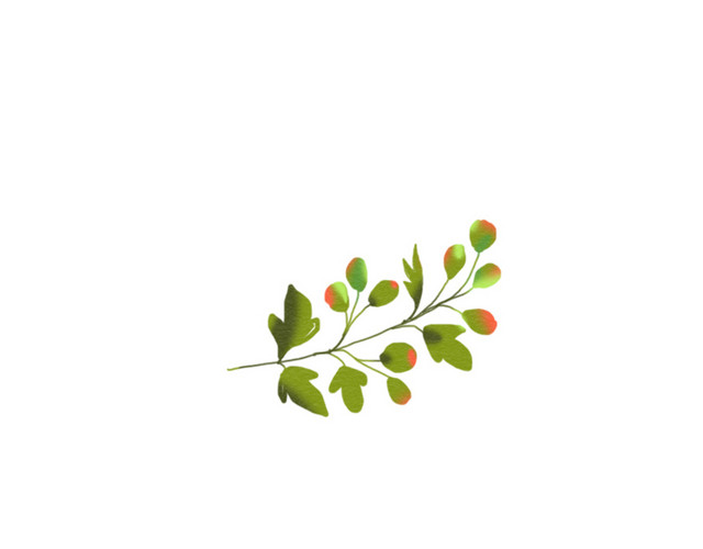 绿色卡通树枝素材