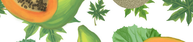 木瓜哈密瓜素材