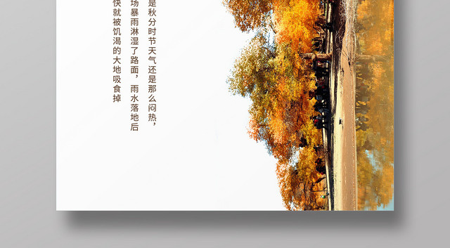 简约创意二十四节气秋分秋天海报