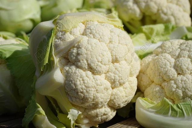 菜花 蔬菜 市场新鲜蔬菜 芸薹属甘蓝研究 灰霉病 L 花椰菜