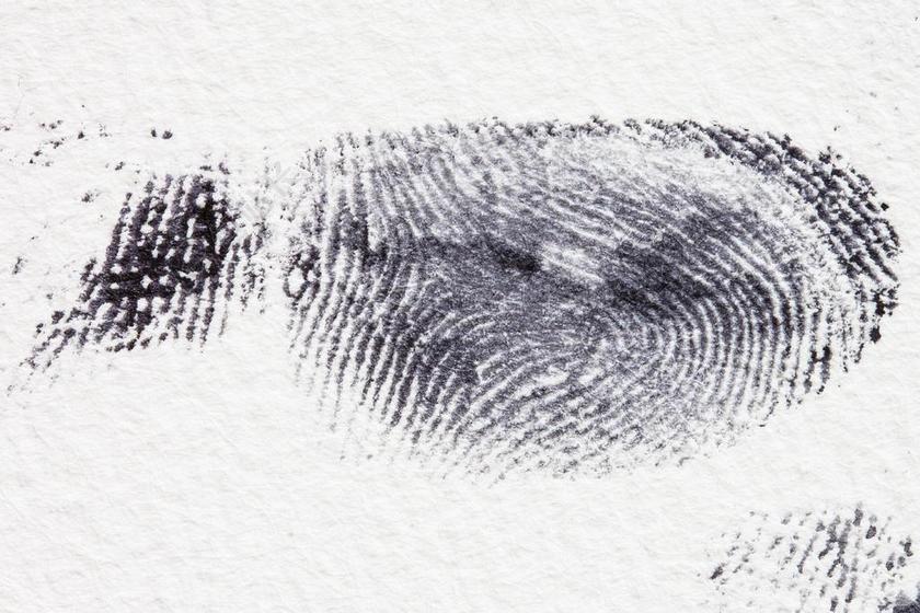 摄影简约黑白指纹背景图片