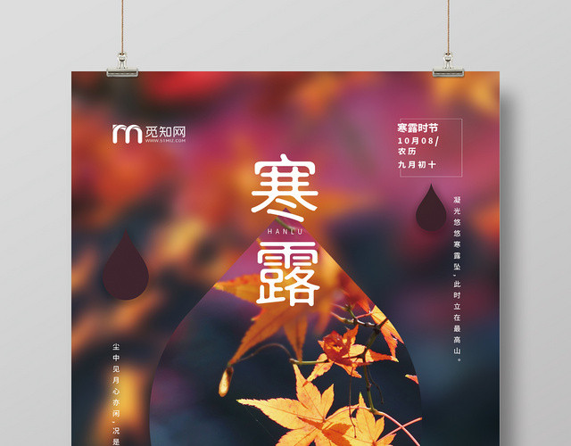 寒露二十四节气海报