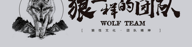 简约大气团队精神狼性团队企业文化墙