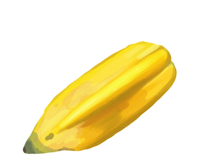 杨桃素材