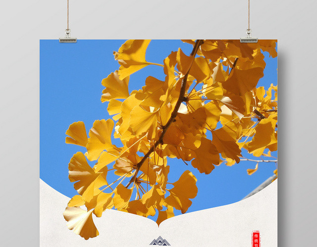 中国传统节气寒露海报