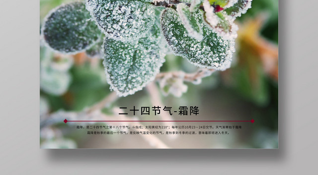 创意简约清新二十四节气之霜降海报