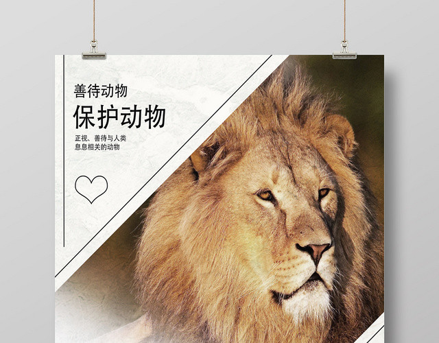 白色简洁风世界动物日海报
