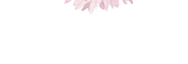 菊花素材